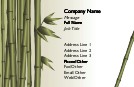 Bamboo Inspiration Recycled Business Cards