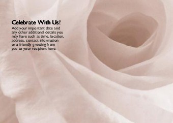 White Rose Standard Sized Save the Date Postcards
