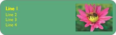 Bee on a Flower Return Address Labels