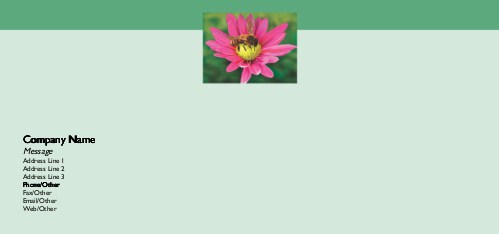 Bee on a Flower Full Colour Compliment Slips