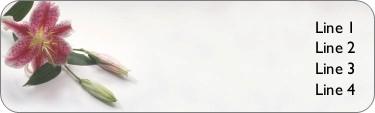 Lying Lily Return Address Labels