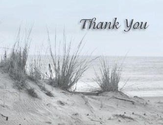 On the Dunes Wedding Thank You Cards
