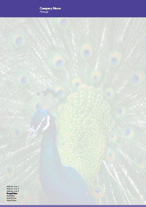 Peacock in its Glory A4 Letterhead