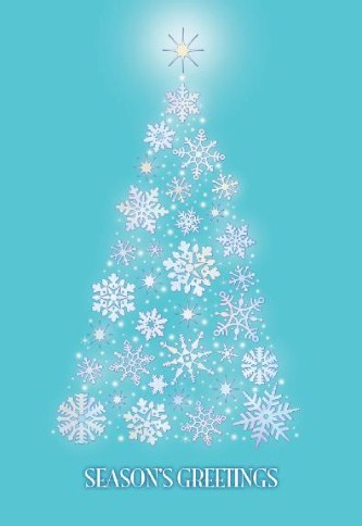 Snowflake Splendor Personalised Christmas Cards