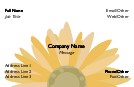 Burst of Sunflower Recycled Business Cards