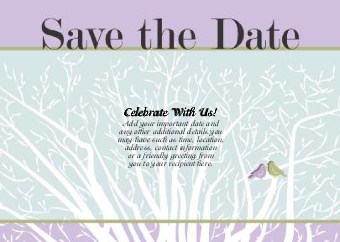 Love Birds Standard Sized Save the Date Postcards