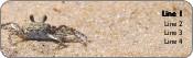 Mr. Crabs Return Address Labels