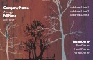 Sleepy Trees Recycled Business Cards