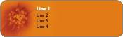 Blooming Brightly Return Address Labels