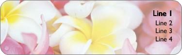 Pastel Petals Return Address Labels