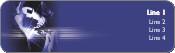 Creative Spark Return Address Labels