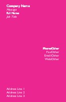 Name in Neon Full Colour Magnetic Business Cards